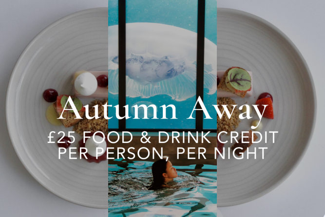 Autumn Away 24