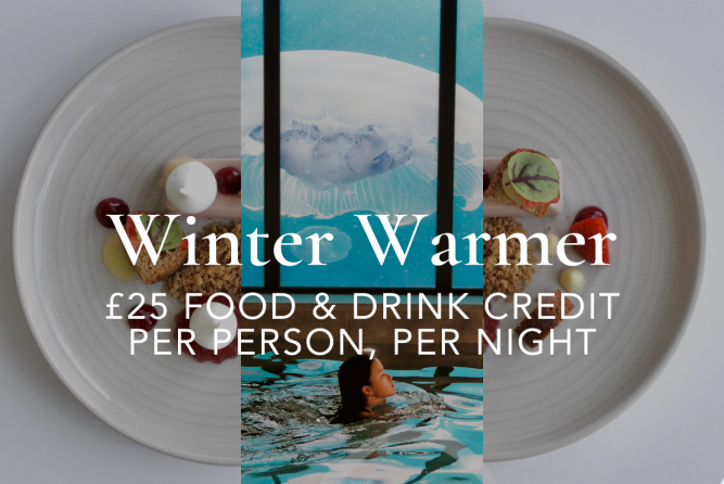 Winter Warmer 24